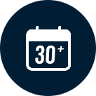 30-year-icon